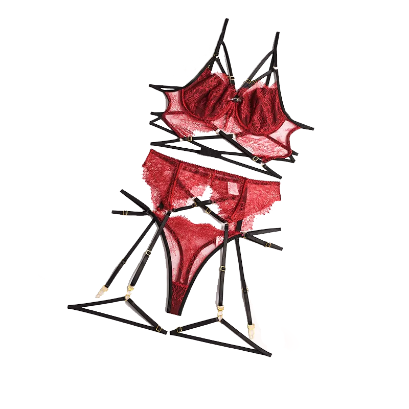 New Lace Sexy Lingerie Transpa - Sheer Bra Lace review and price